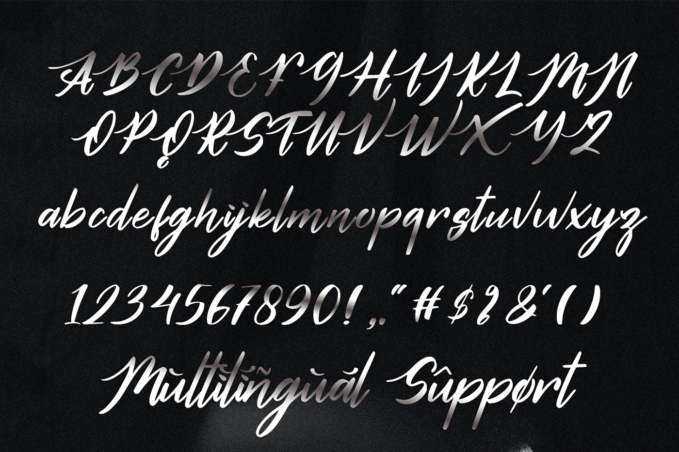 brand identity Calligraphy   design font handwritten lettering logo modern Script typography  