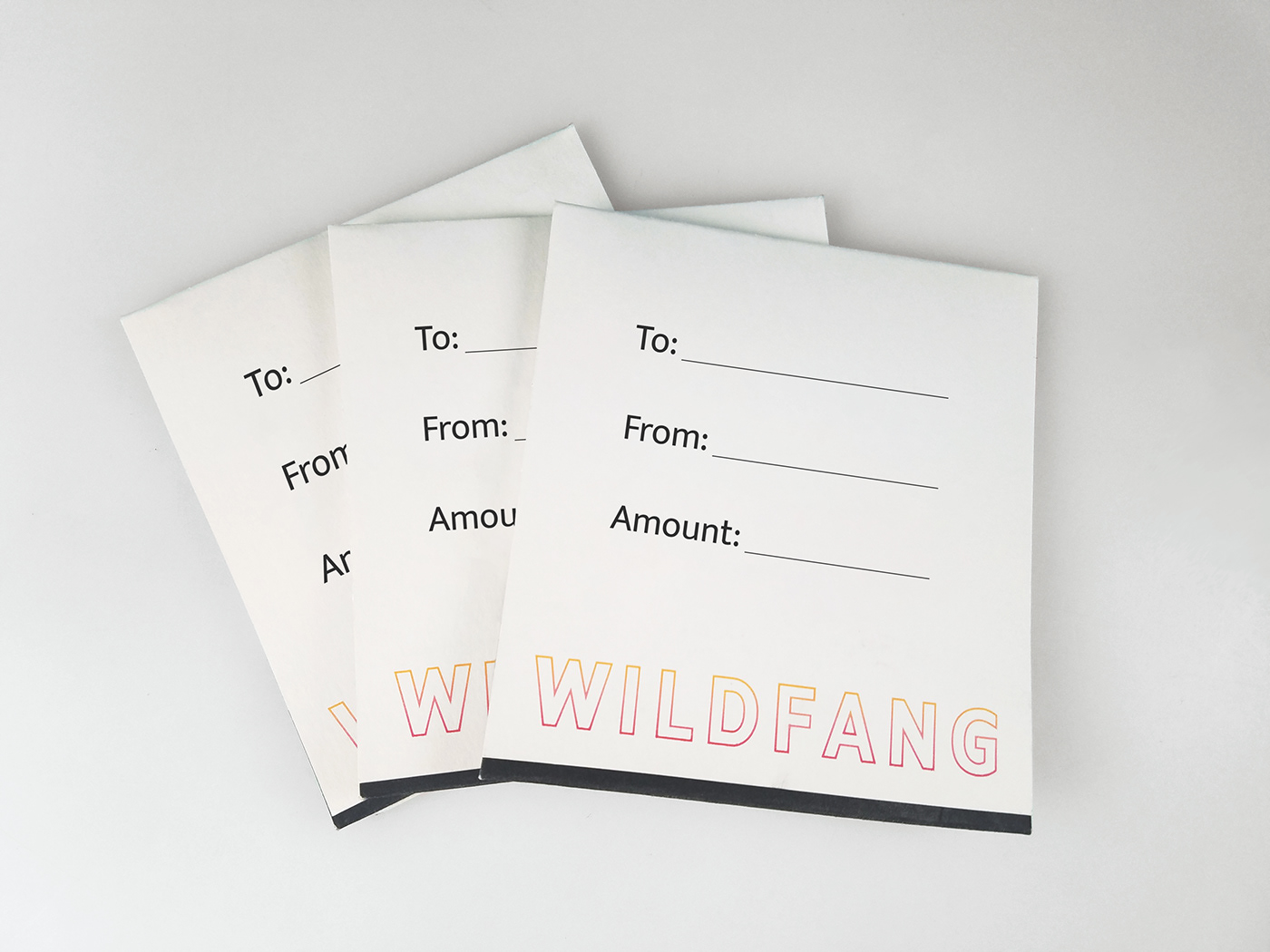 gift cards ILLUSTRATION  Packaging Polaroids wildfang