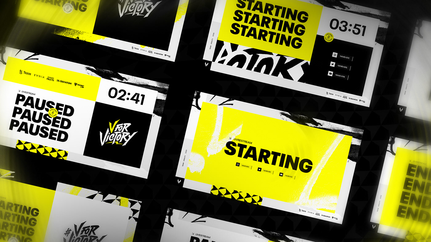 esport stream Streaming Twitch vitality adidas art branding  direction Nike