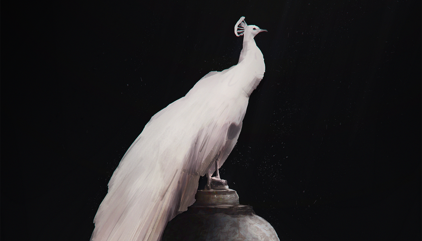 White peacock (digital painting) on Behance