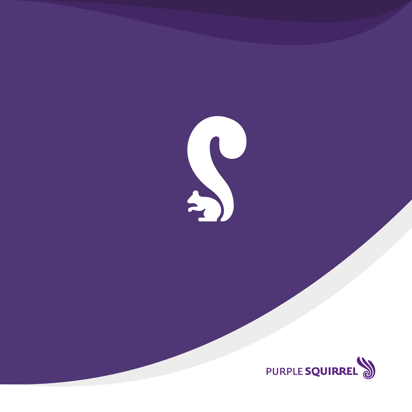 Purple Squirrel start up MUMBAI iit Bombay sine higher education Education purple squirrel logo identity Logotype app Website brand new
