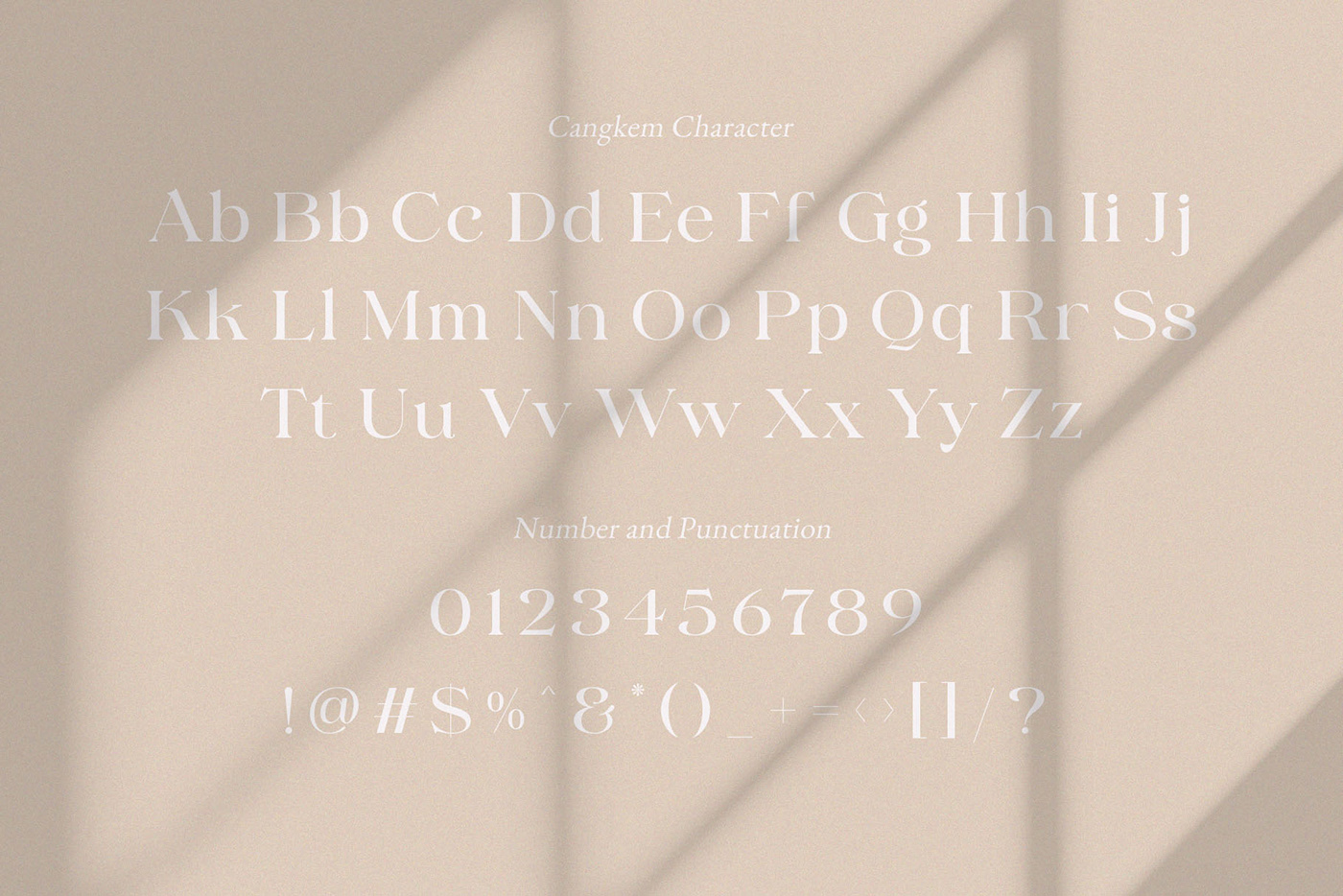 serif retro font display font ligature beauty font logo font Typeface modern font typography   elegant serif