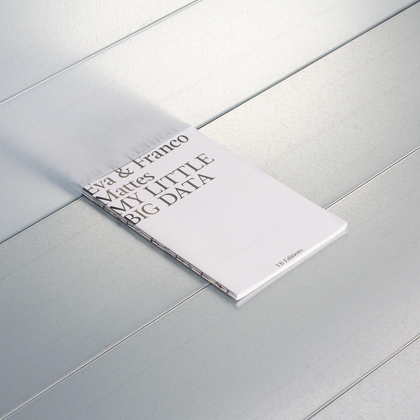 book contemporary art digital editorial graphic design  mattes Studio Temp the blanck
