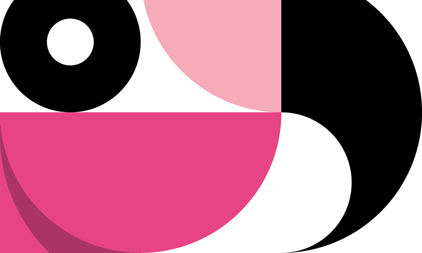 animation  branding  creative design flamingo inspire logo Logo Design Logotype pink