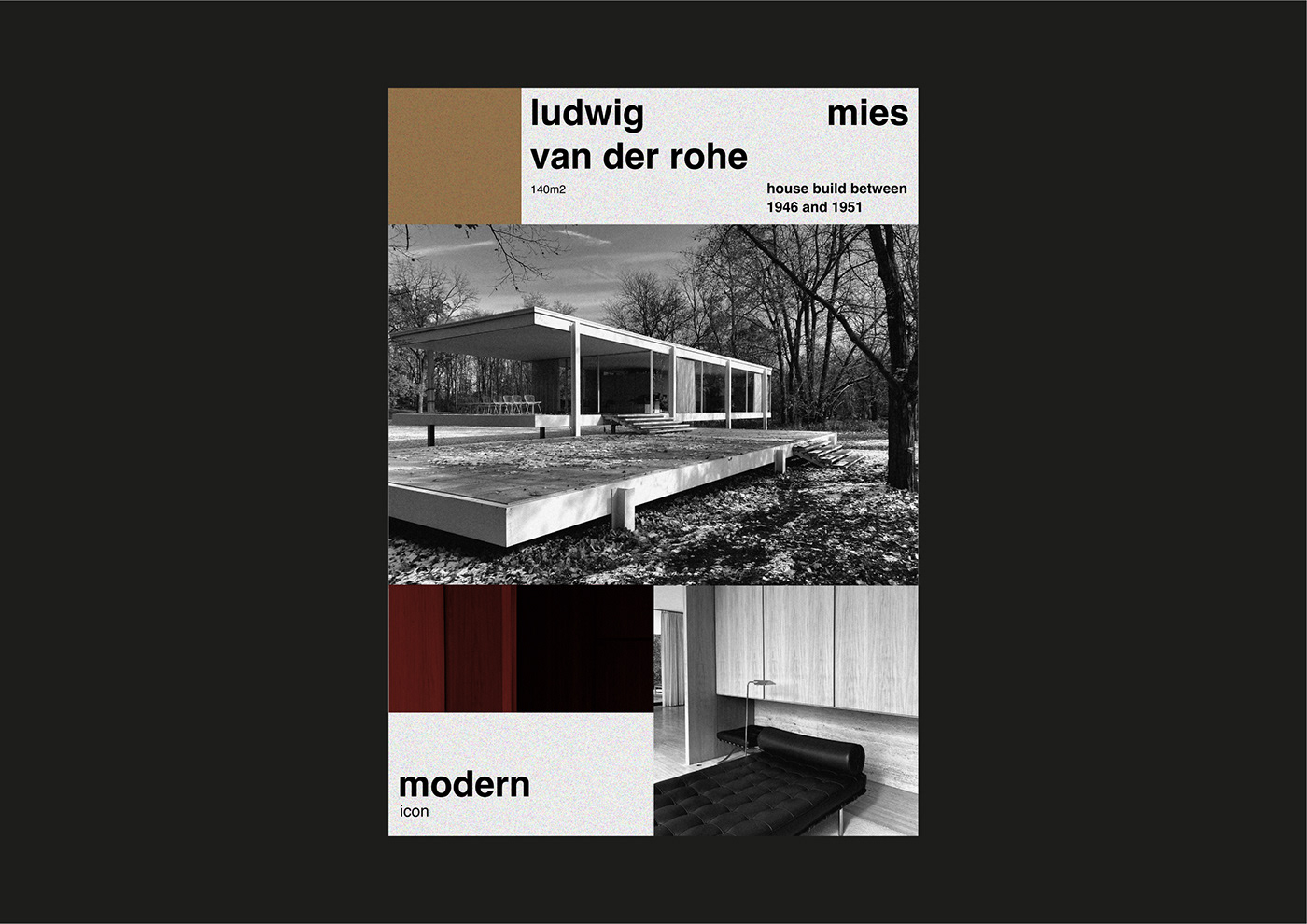 graphic design  designer arquitecture magazine Photography  mies van der rohe