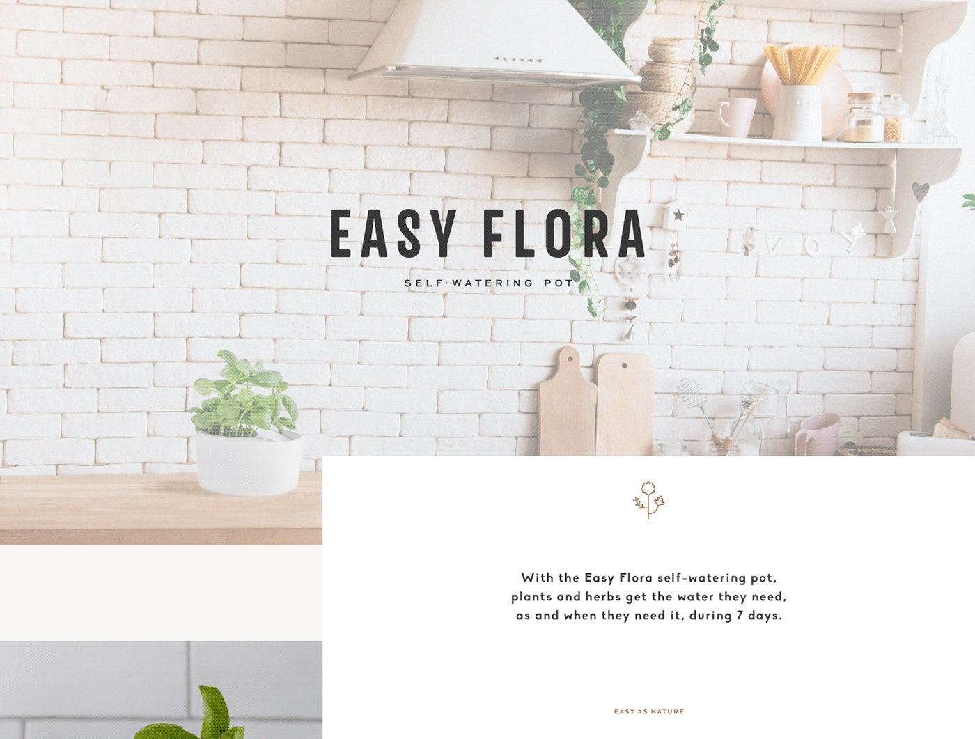 easy flora herbs identity Packaging Sustainable pot icons logo lifestyle cook
