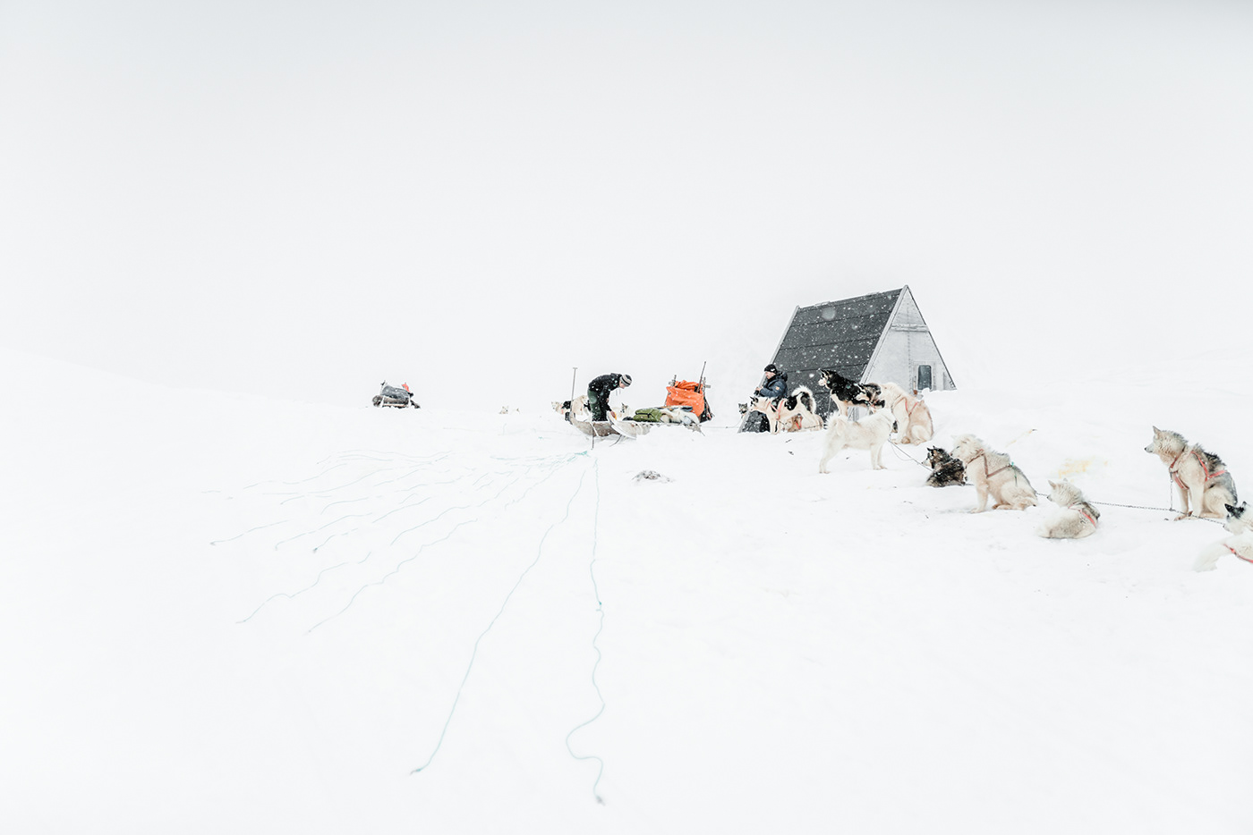 Greenland Arctic winter dogs snow remote ice White Nature Landscape