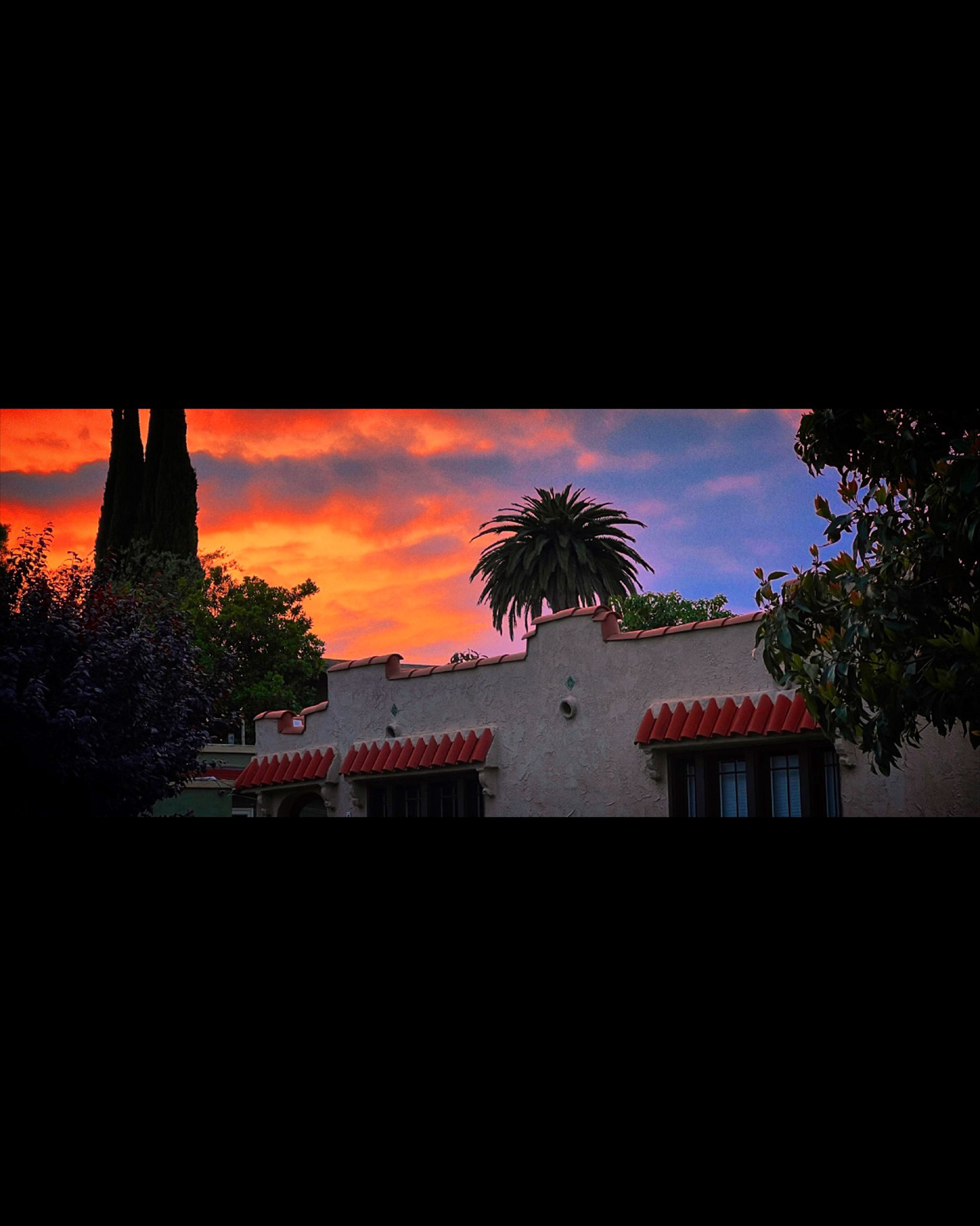 sunset cinematography color grading cinematic neon vibe Palm Trees Photography  Landscape Neon Red SKY