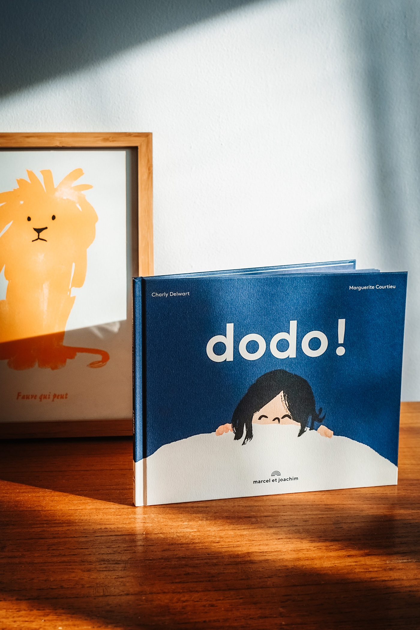 livre jeunesse dodo