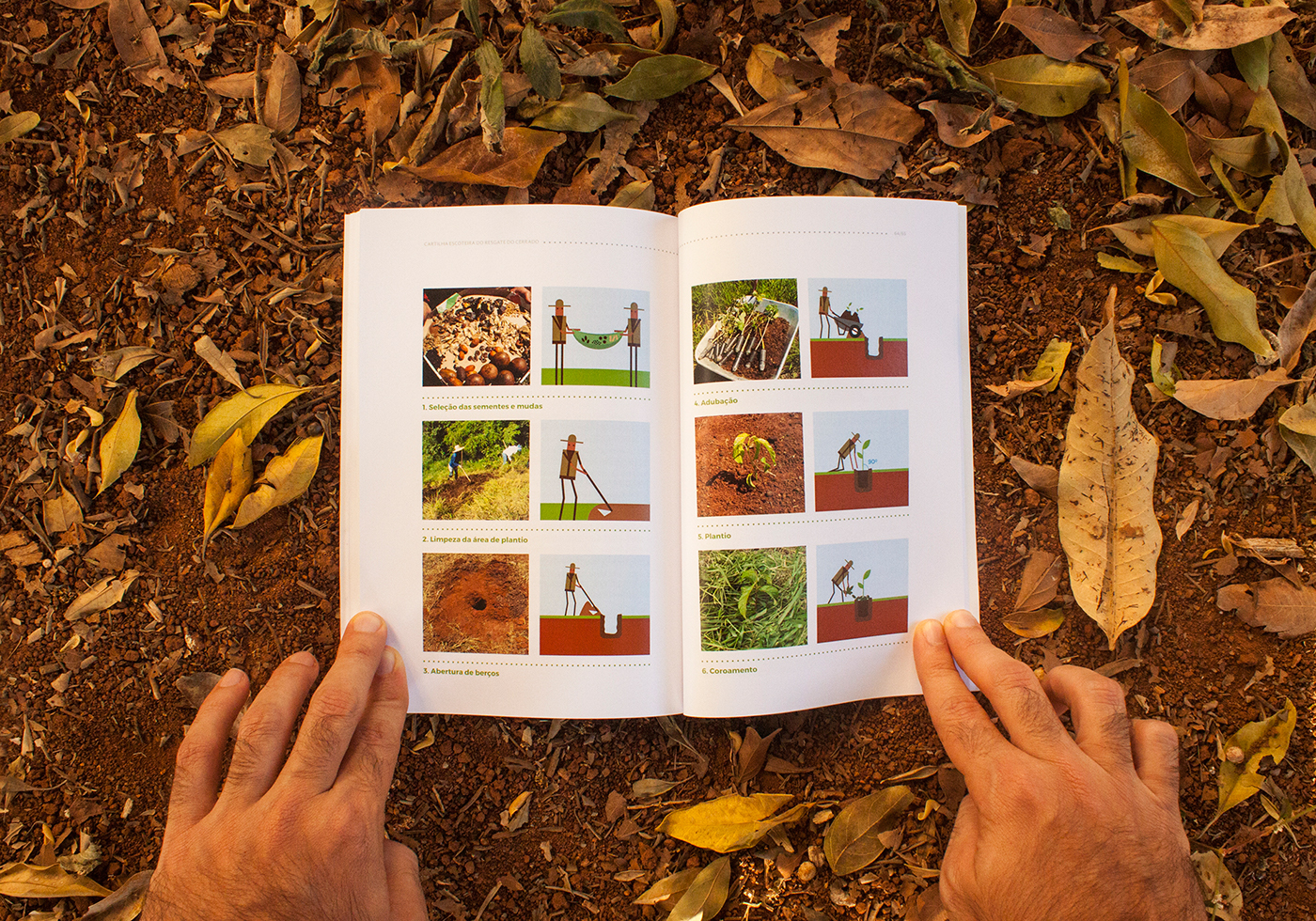 book Livro ILLUSTRATION  Ilustração escoteiro scout cerrado savanna infográfico infographic