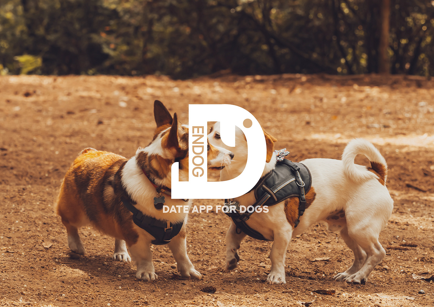 dog dogs app ux UI design date graphic