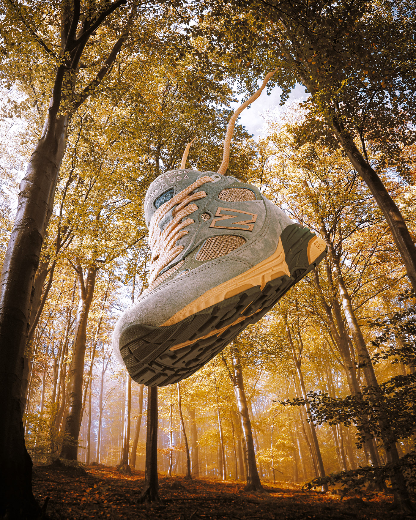 Giant sneaker photo composite in the forest . Retouching using Photoshop