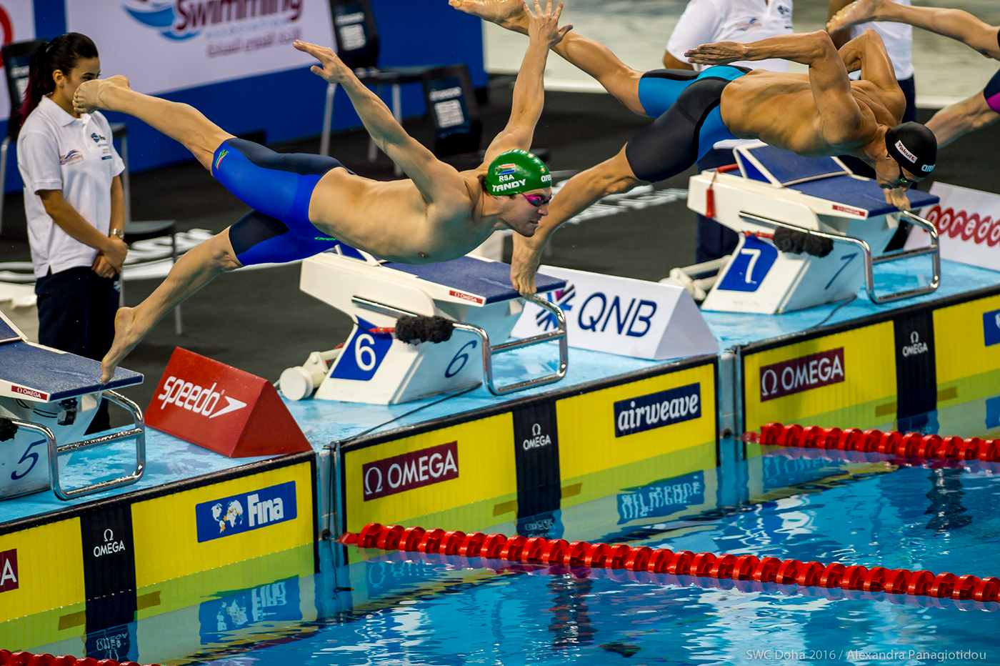 sport swimming world cup