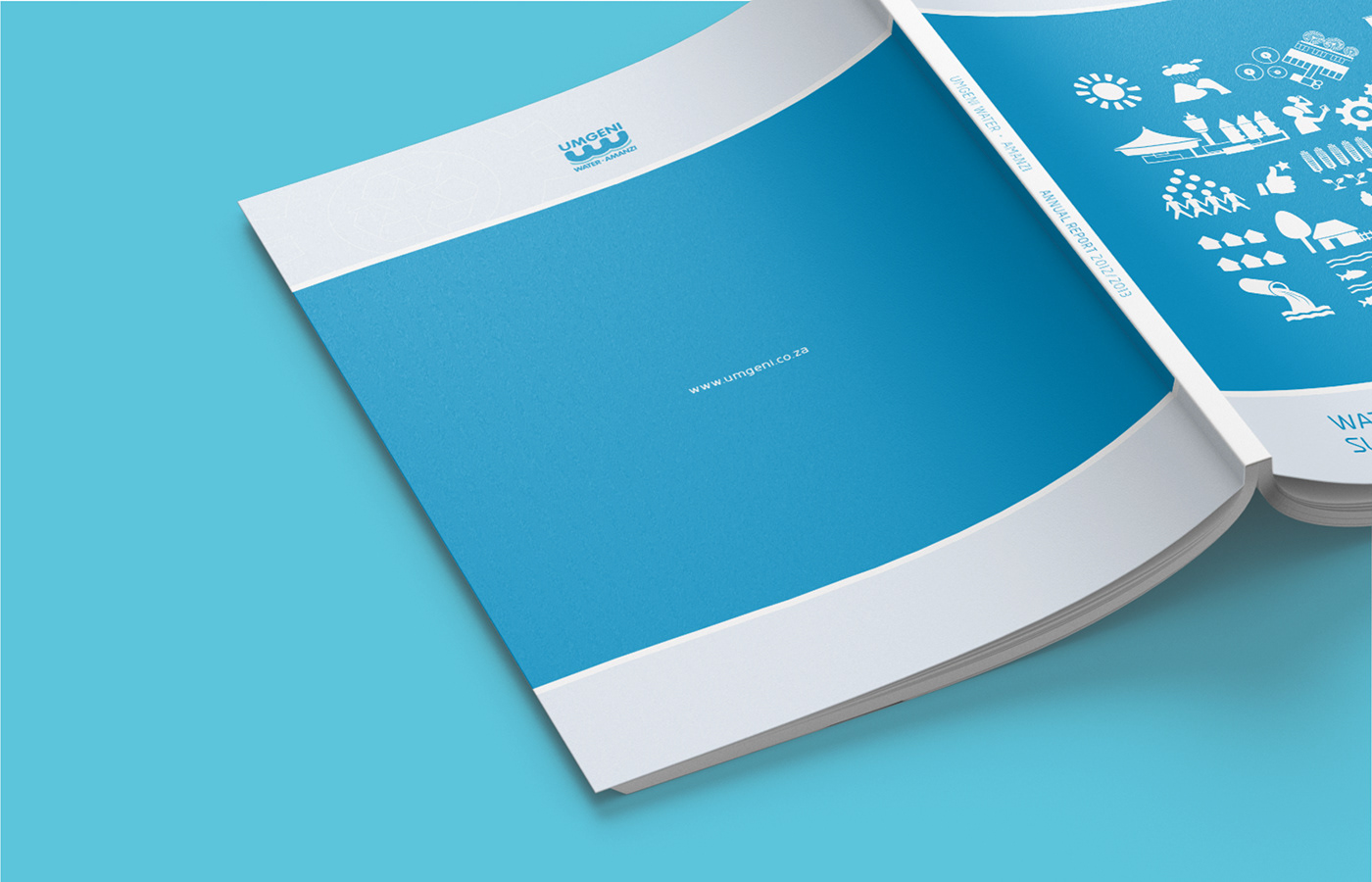 art direction  design Layout annual report