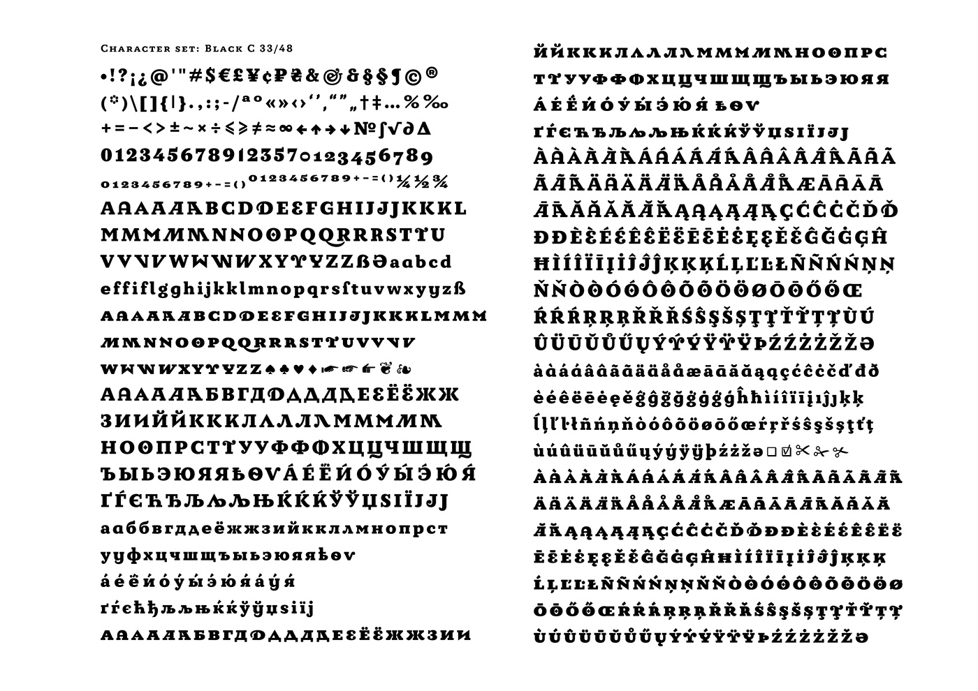 font type typography   editorial gliphs Layout serif slabserif reddot Typefamily