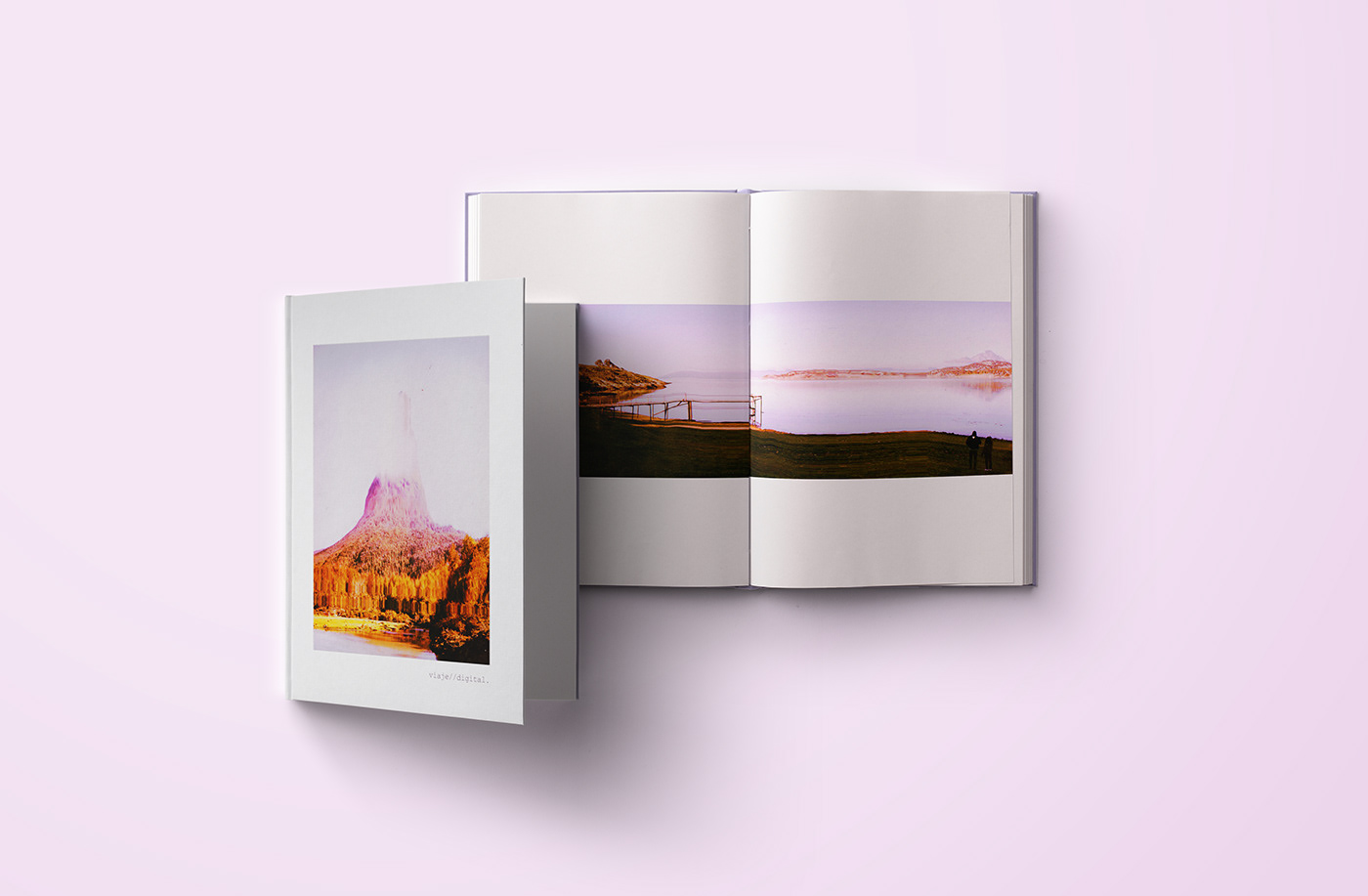 Fotografia pixel scanner Photography  Album pixel sorting Glitch