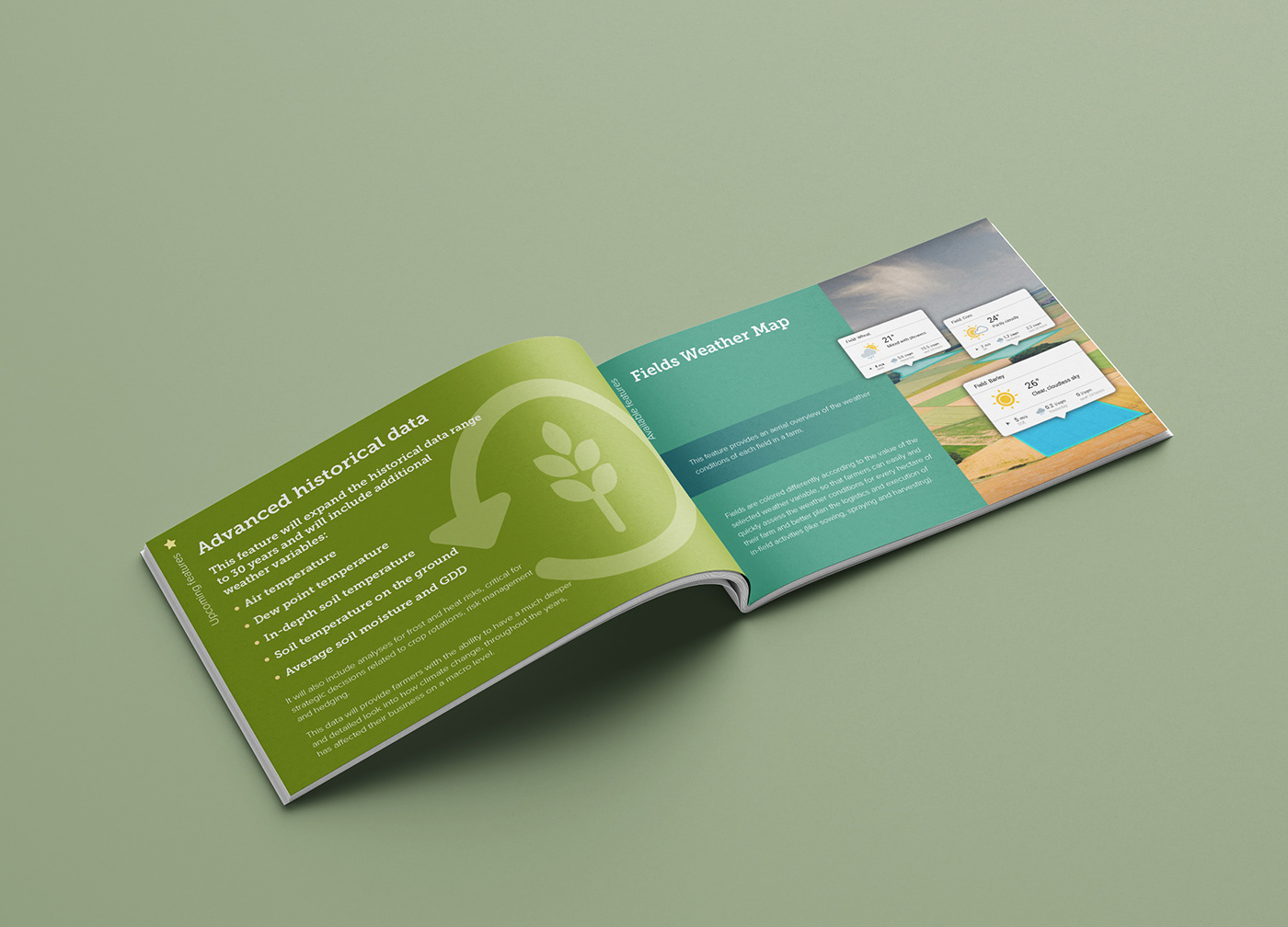 Agro brand brochure business color design graphic design  graphics presentation ILLUSTRATION 