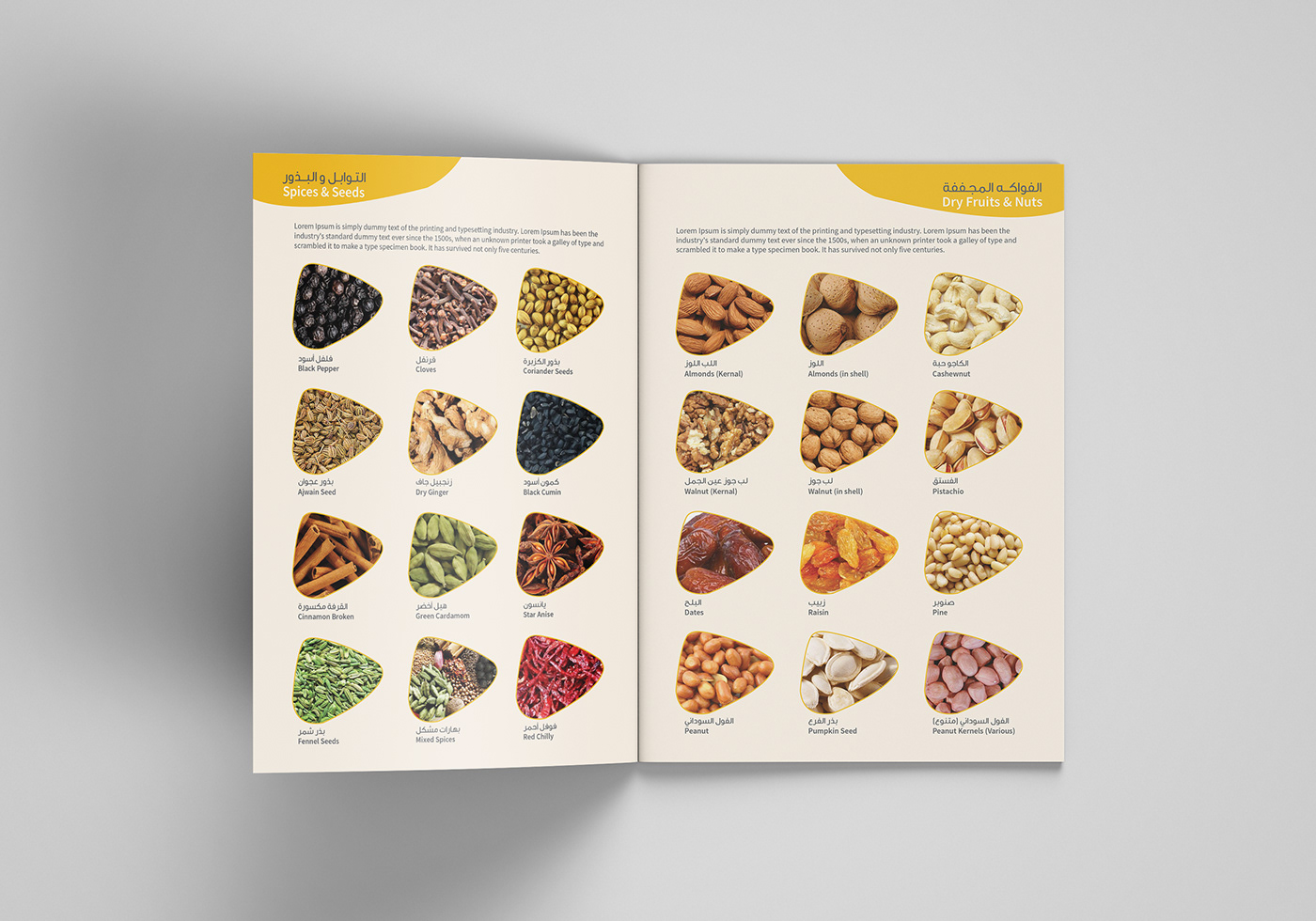 brochure a4 Food  spices nuts dryfruits corporate profile graphic design 