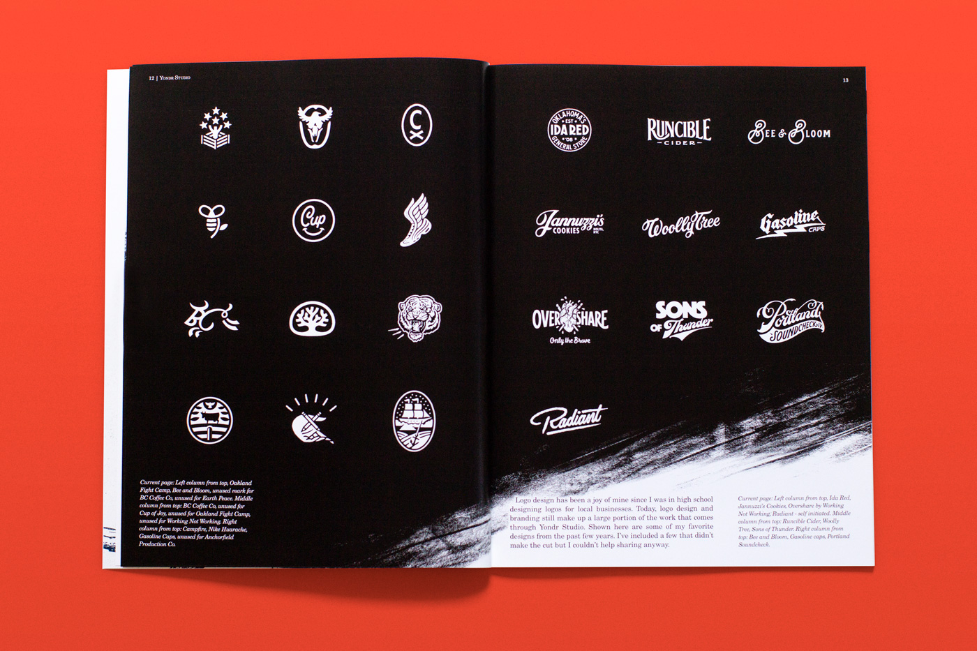 Zine  book art book publication editorial ILLUSTRATION  design graphic branding  print