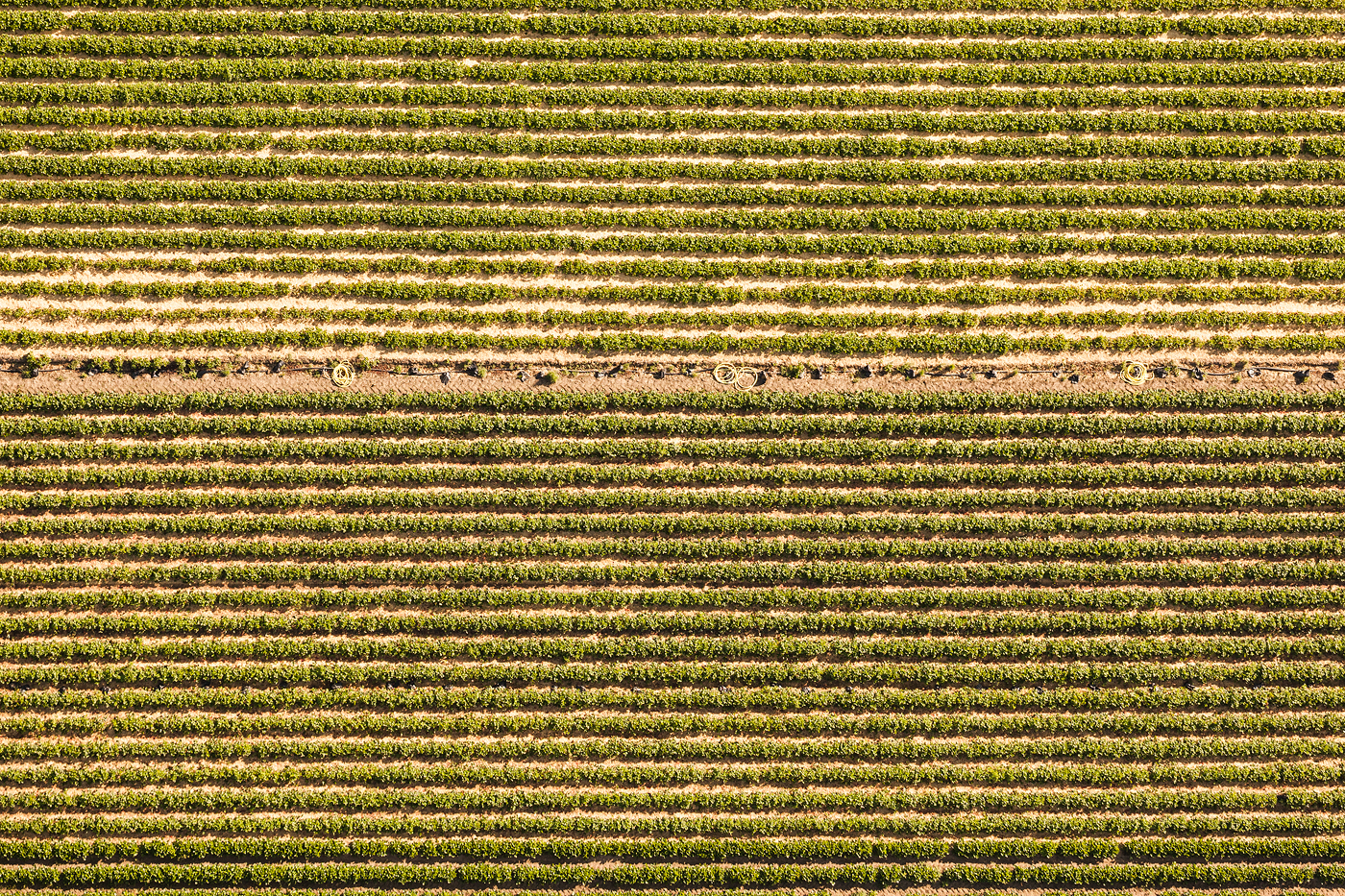 abstract Aerial Landscape Nature graphical Agricultural structure pattern above summer sunlight fields agriculture farming industrial