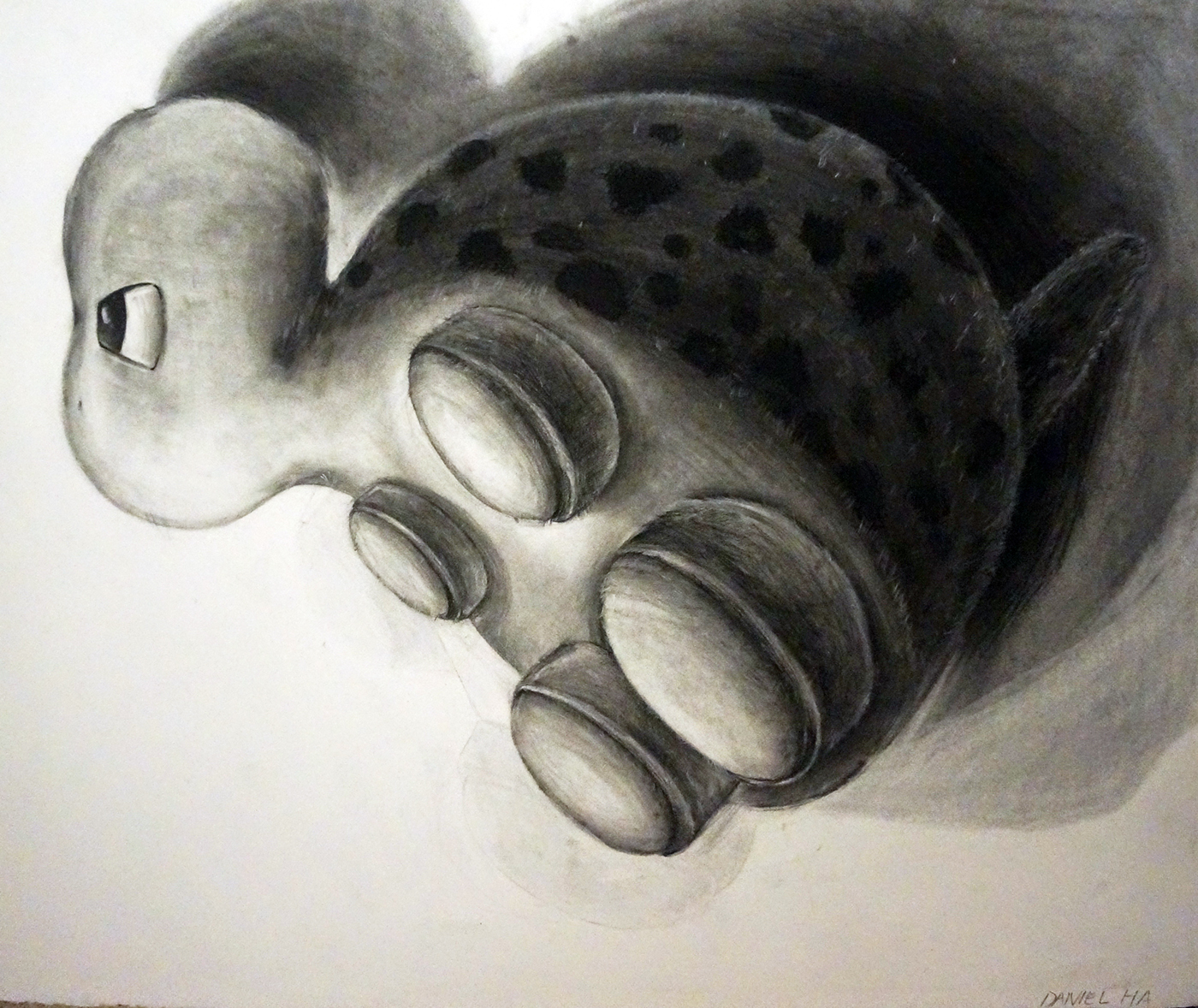 charcoal Drawing 