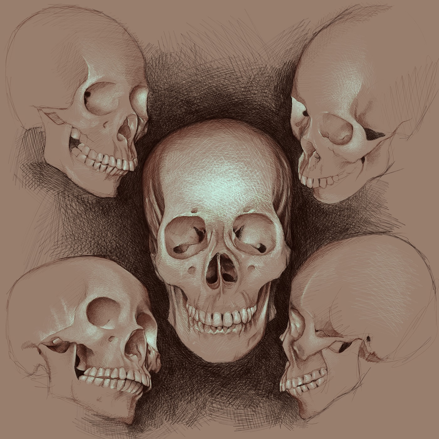 Digital Art  Drawing  anatomy skulls iPad Procreate