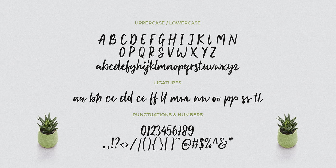 fonts Script Font handwritten typography   Brand Design branding  Calligraphy   Script lettering Handlettering