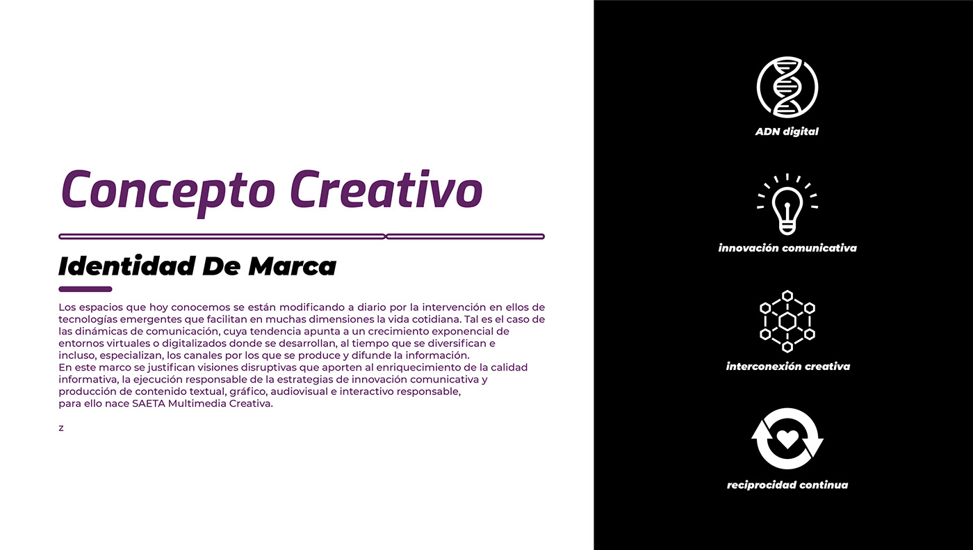 brand branding  Creativa diseño enterprise identidad ilustrator marca Multimedia  Saeta