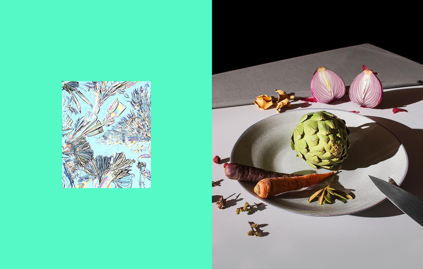 branding  visual identity graphic design  Photography  art direction  ITHQ Montreal science still life gastronomie