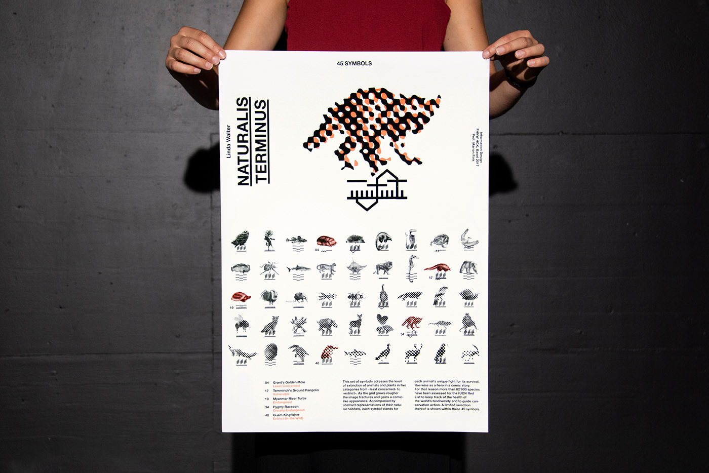 informationsdesign 45symbols animal extinct poster symbols natur habitat raster Disappear