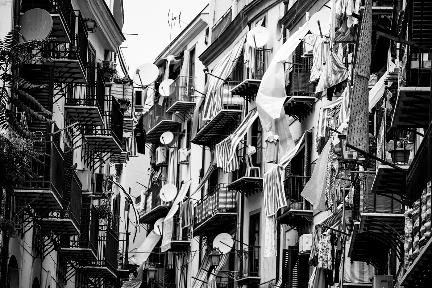 Palermo Street photo Photography  people art