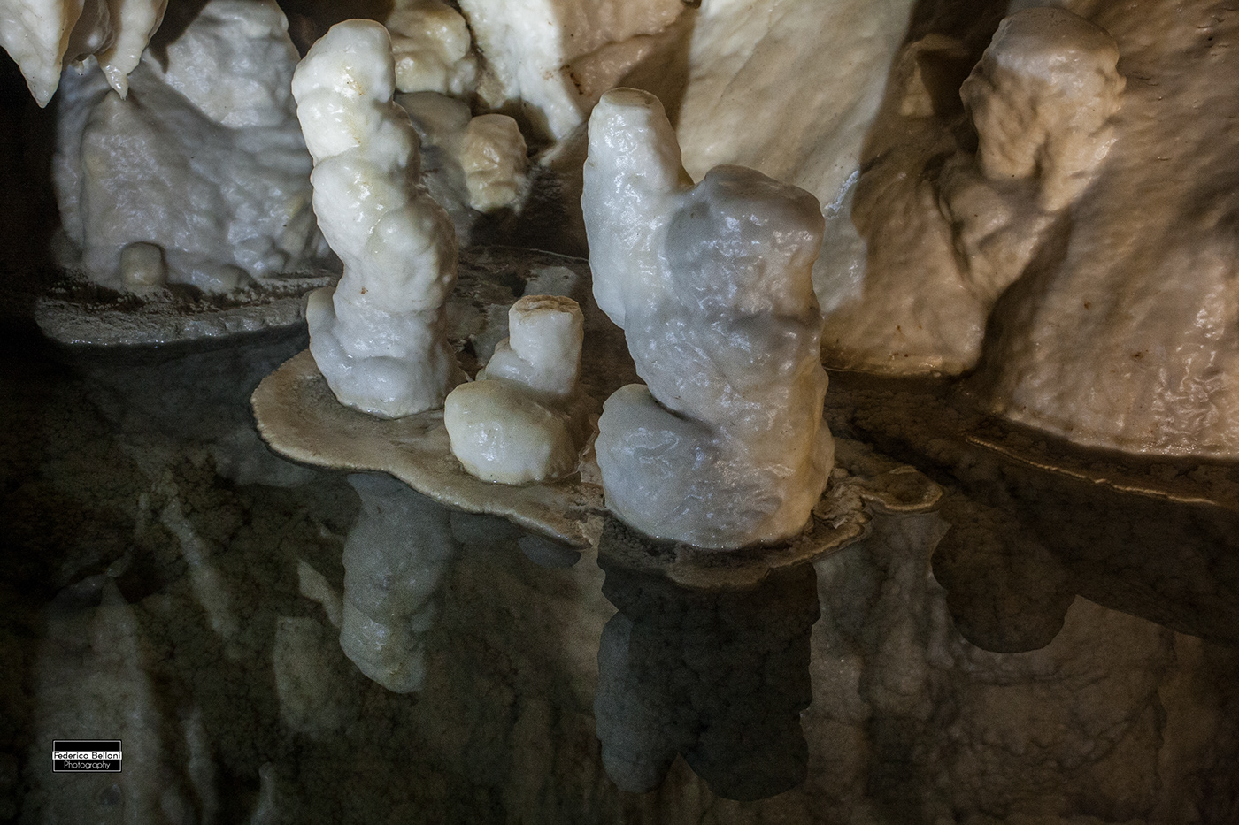 Photography  Nature naturephotography naturalist Canon slovenia Caves postojna Postumia proteus