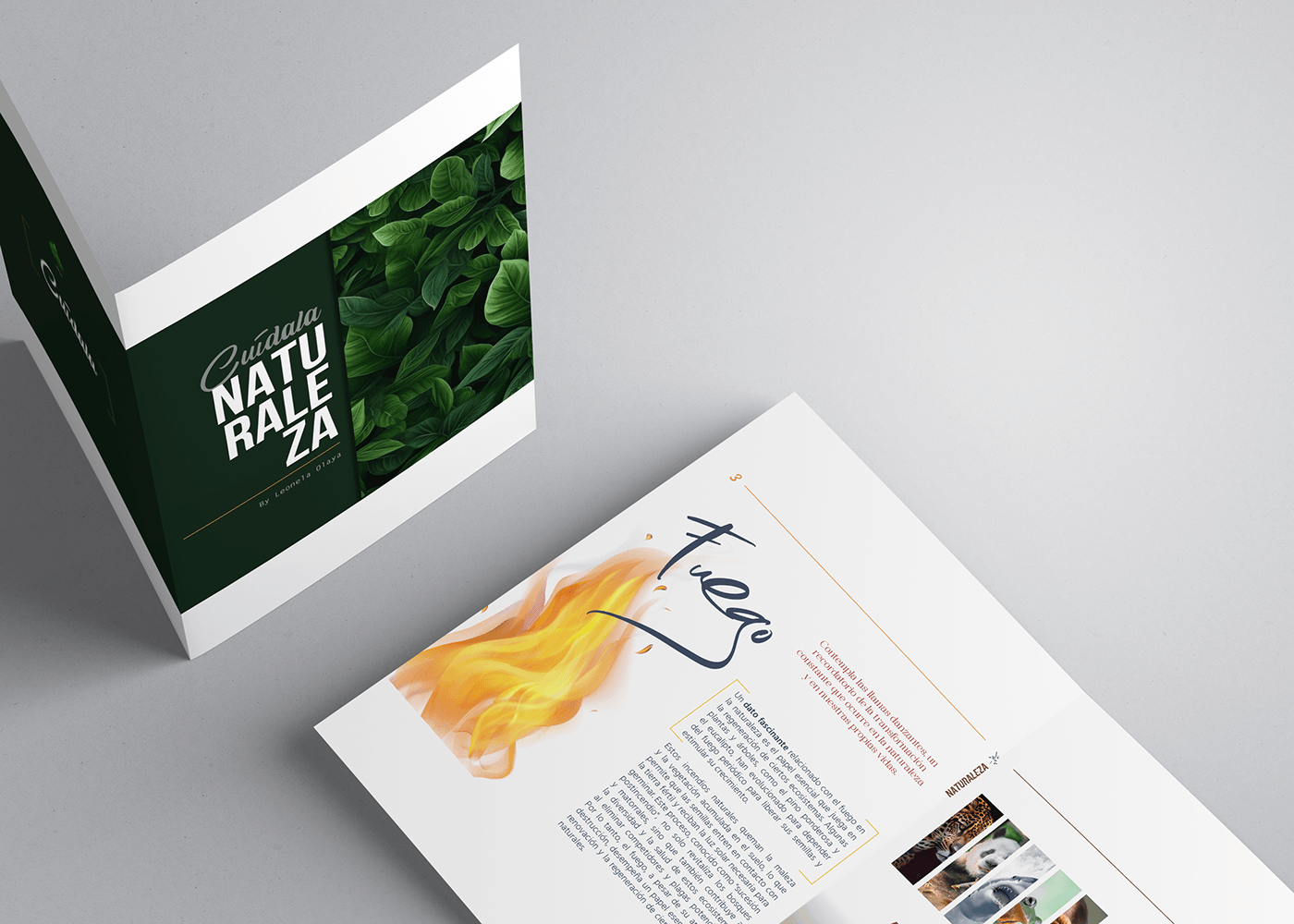 design editorial print typography   book design graphic Adobe InDesign graphic design  revista folleto