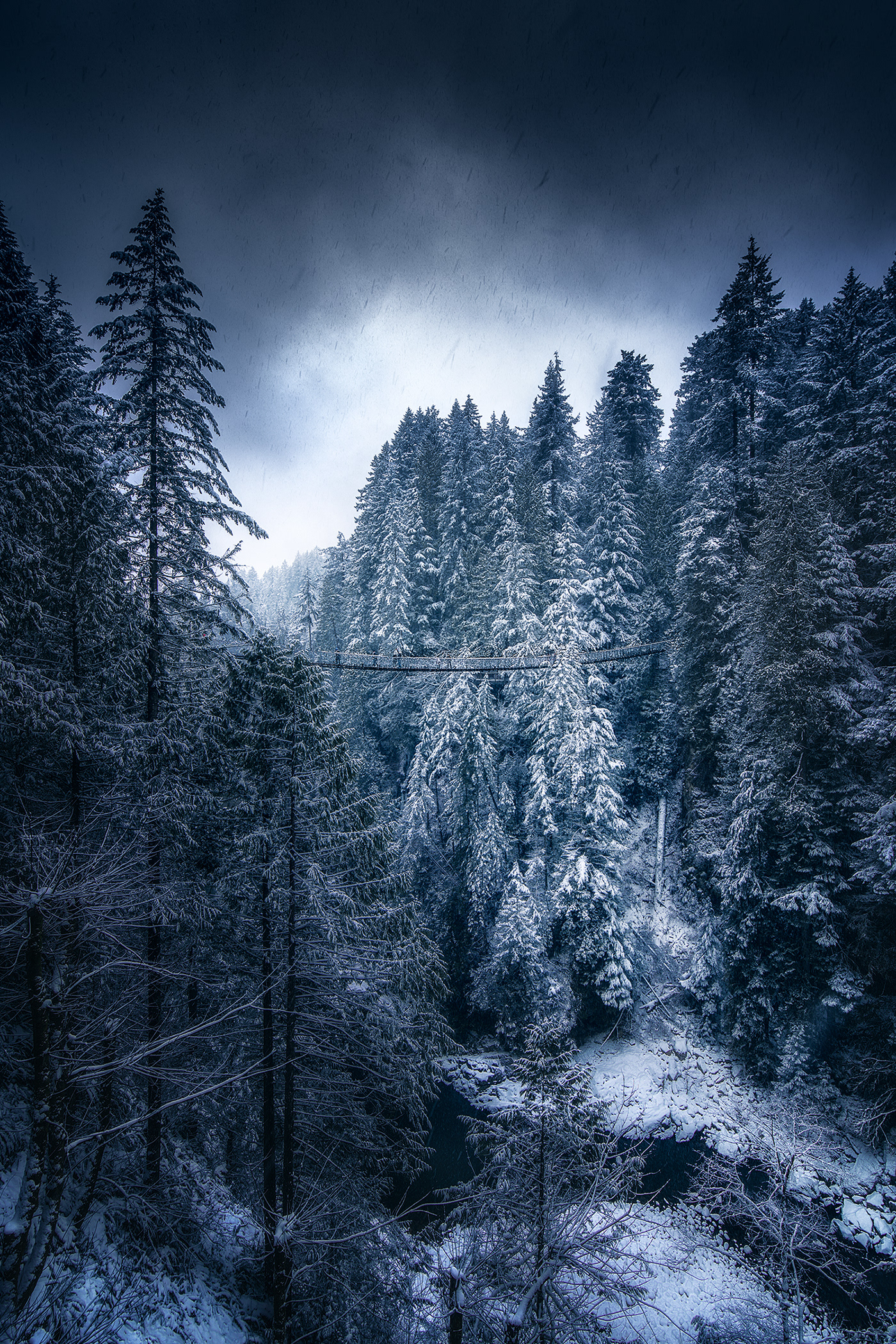 snow winter vancouver Canada Nature Landscape Photography  forest Sony mood