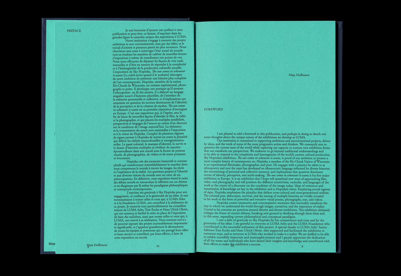 art artist book book design editorial design  gallery montage Poetry  typography   video