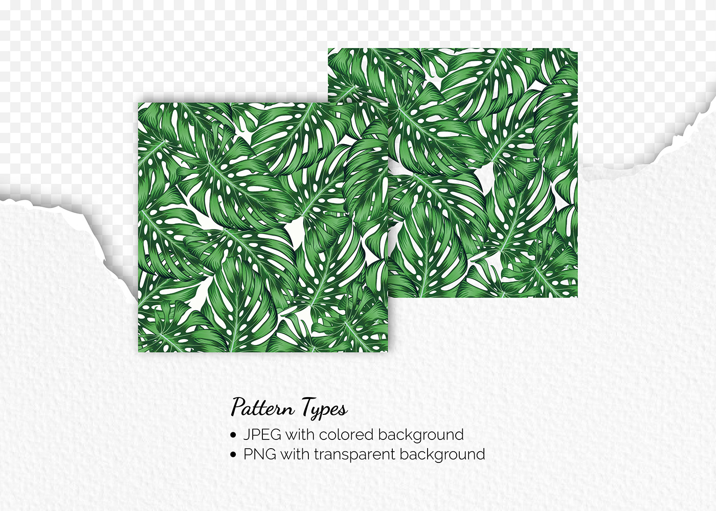 botanic botanical Botanical Pattern Illustrator pattern pattern design  patterndesigner Repeat Pattern seamless seamless pattern