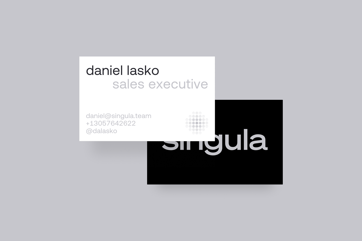 identity brand identity branding  graphic design  landing page logo Logo Design Social media post visual identity Web Design 