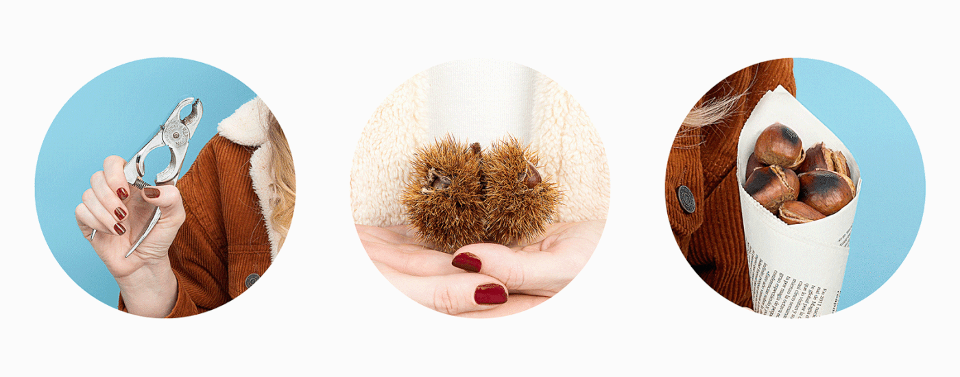 Details of tree urchin and chestnuts