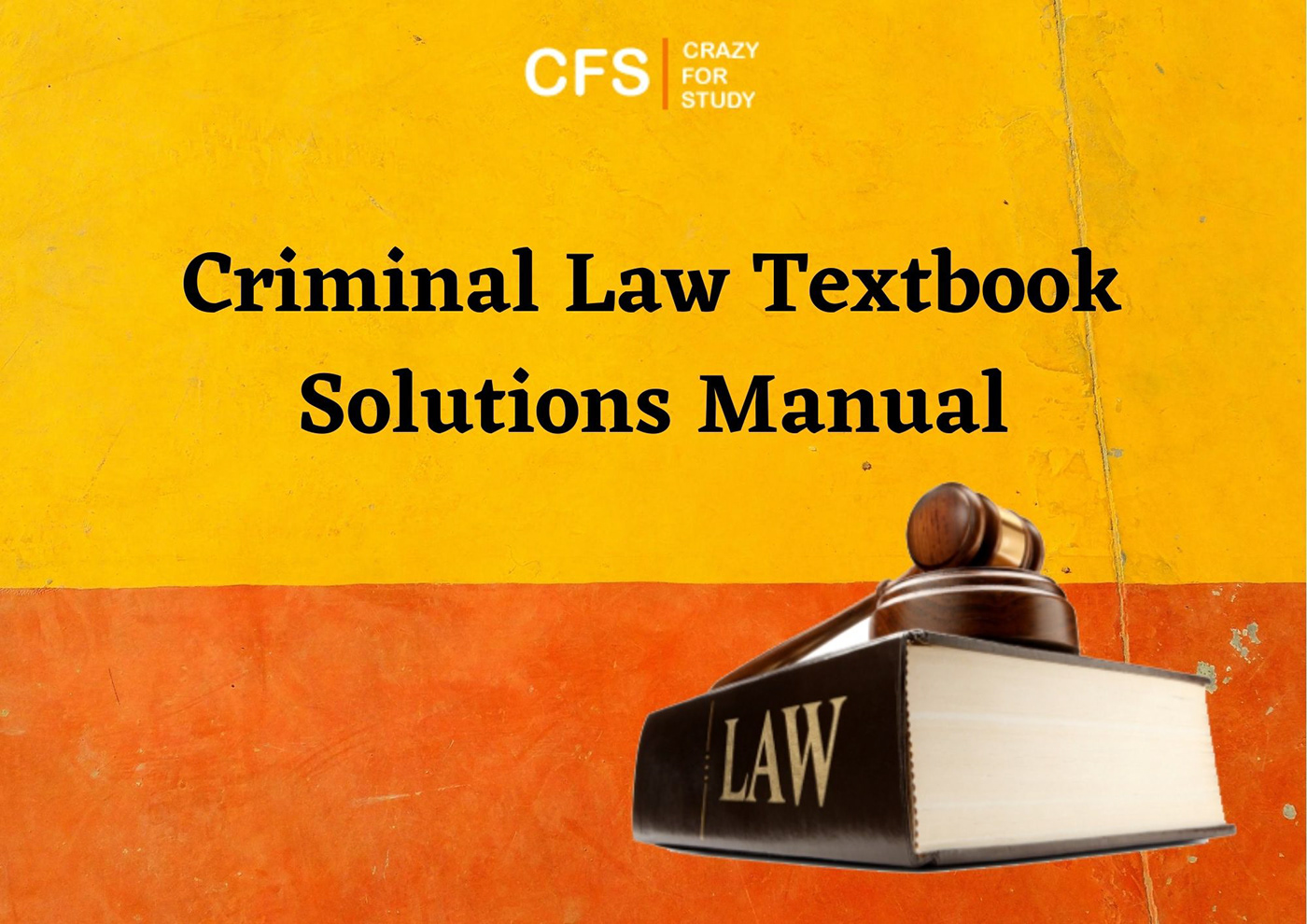 Criminal Law Textbook Solution Manual
