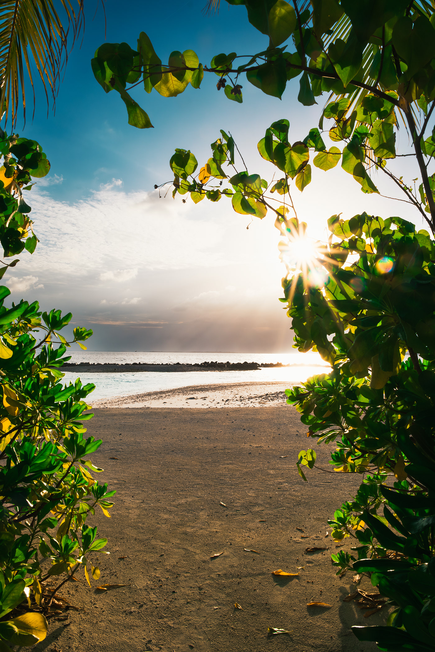 Landscape sunset Photography  Nature Travel adventure Maldives beach sea Sunrise