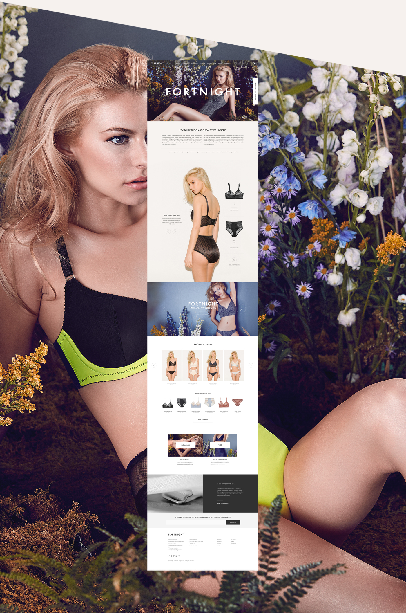 Website wordpress Web digital Ecommerce store lingerie UI ux Responsive Retail