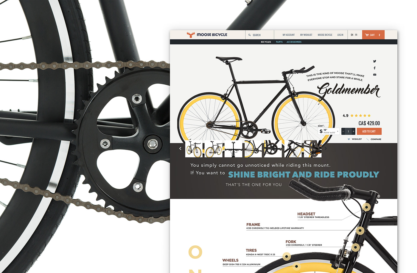 Bicycles bikes branding  Ecommerce