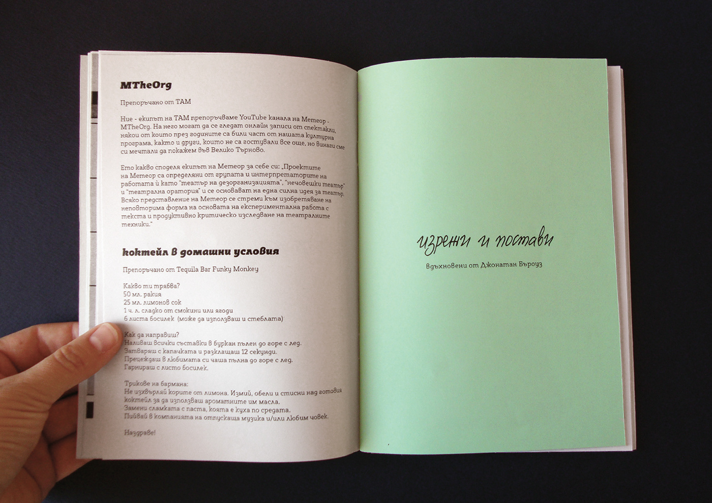 book design DIY graphic design  Logo Design Zine 