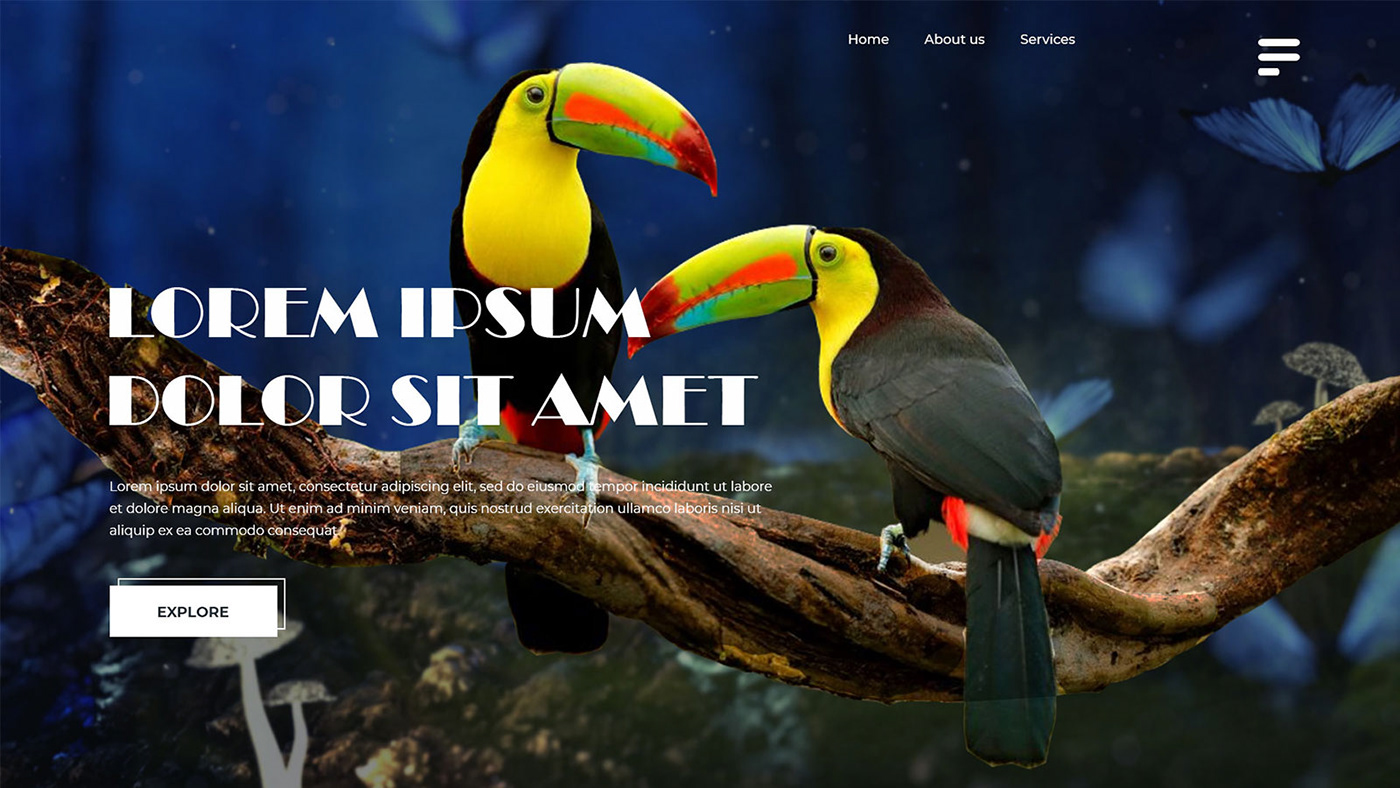 Amazing World birlds Colourful design home page banner leanding page website Nature social media UI/UX Design Web Design  wonderful world