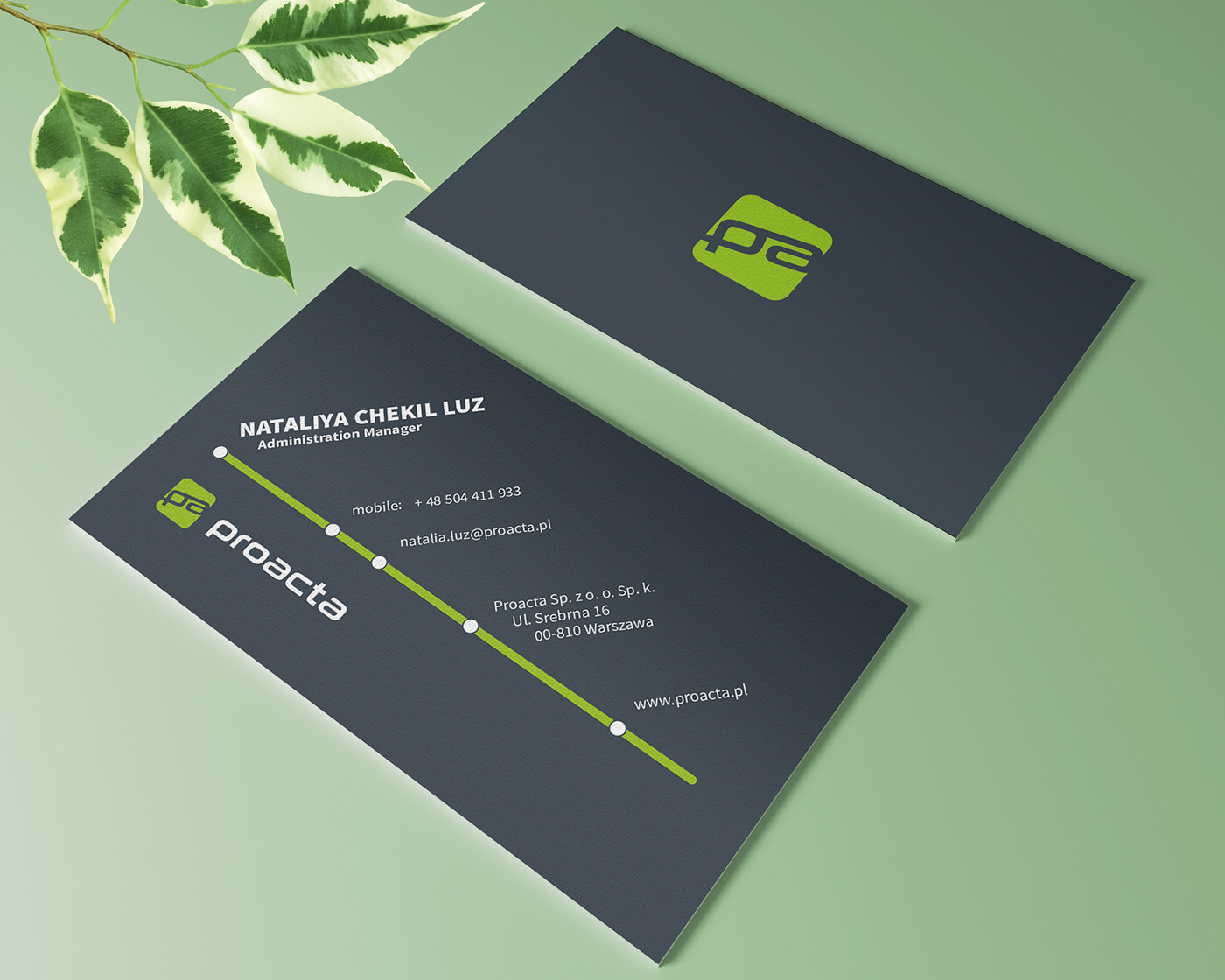 graphic design business cards Printing pantone simplicity