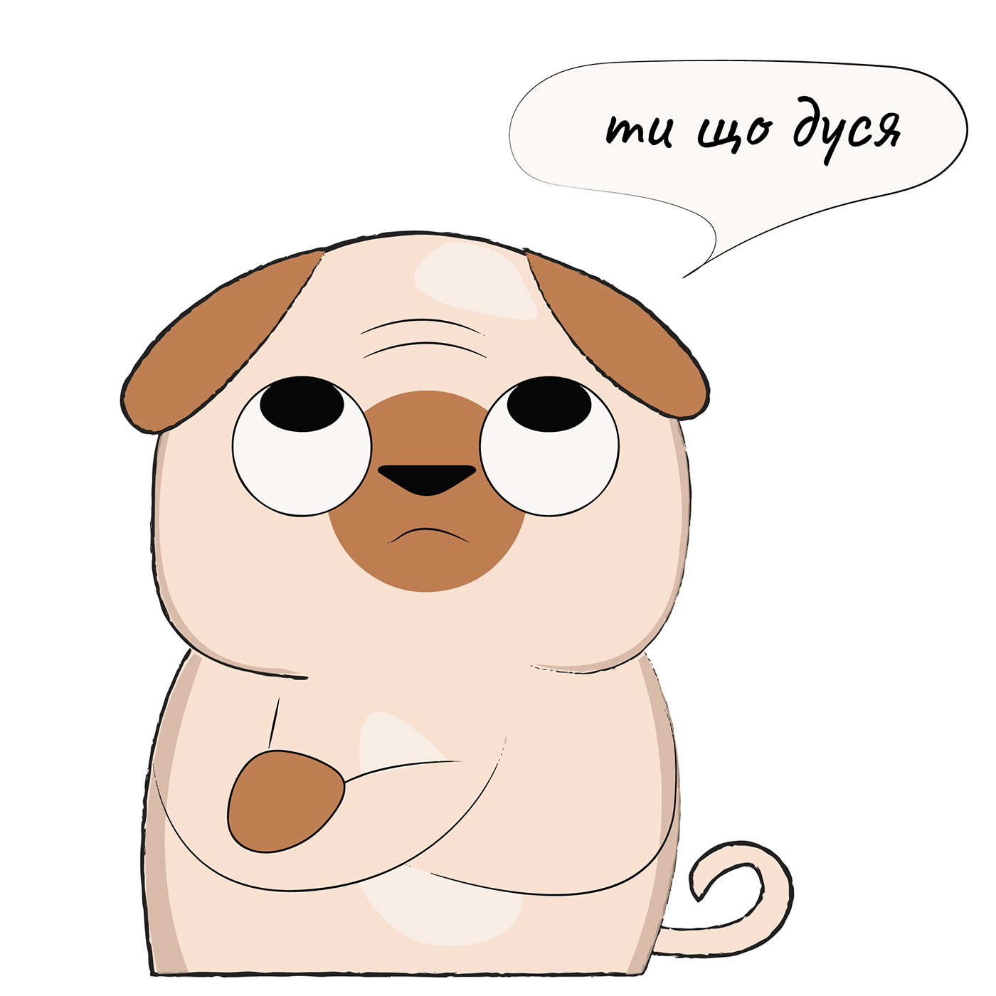 dog dogs nice Pug stickers Telegram telegramstickers