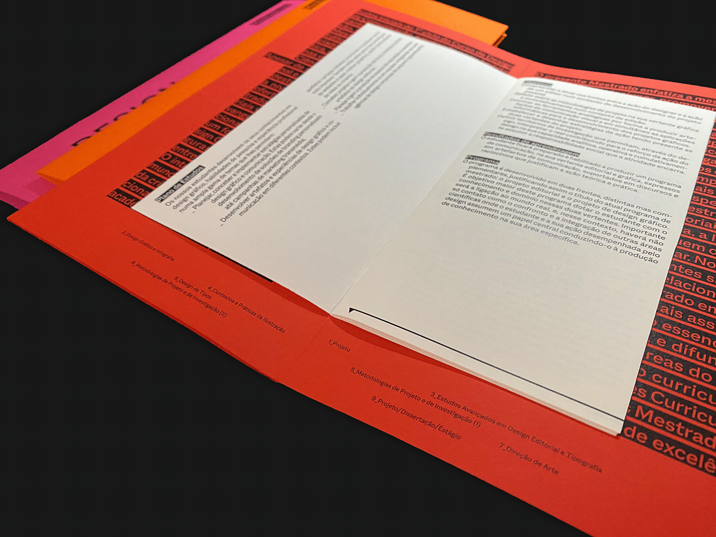 mestrado design Graphic Designer brochure flyer fbaup porto tipography