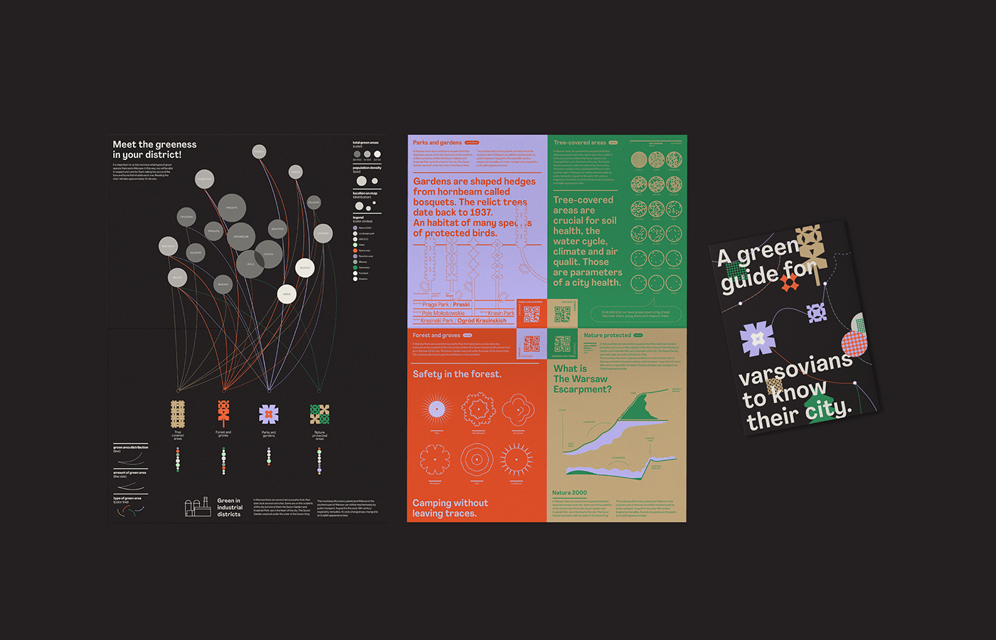 branding  brochure data visualization design editorial design  forest graphic design  ILLUSTRATION  infographic Nature
