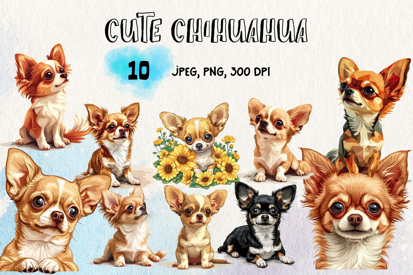 animal cute cartoon Character design  watercolor Drawing  Digital Art  chihuahua puppy dog