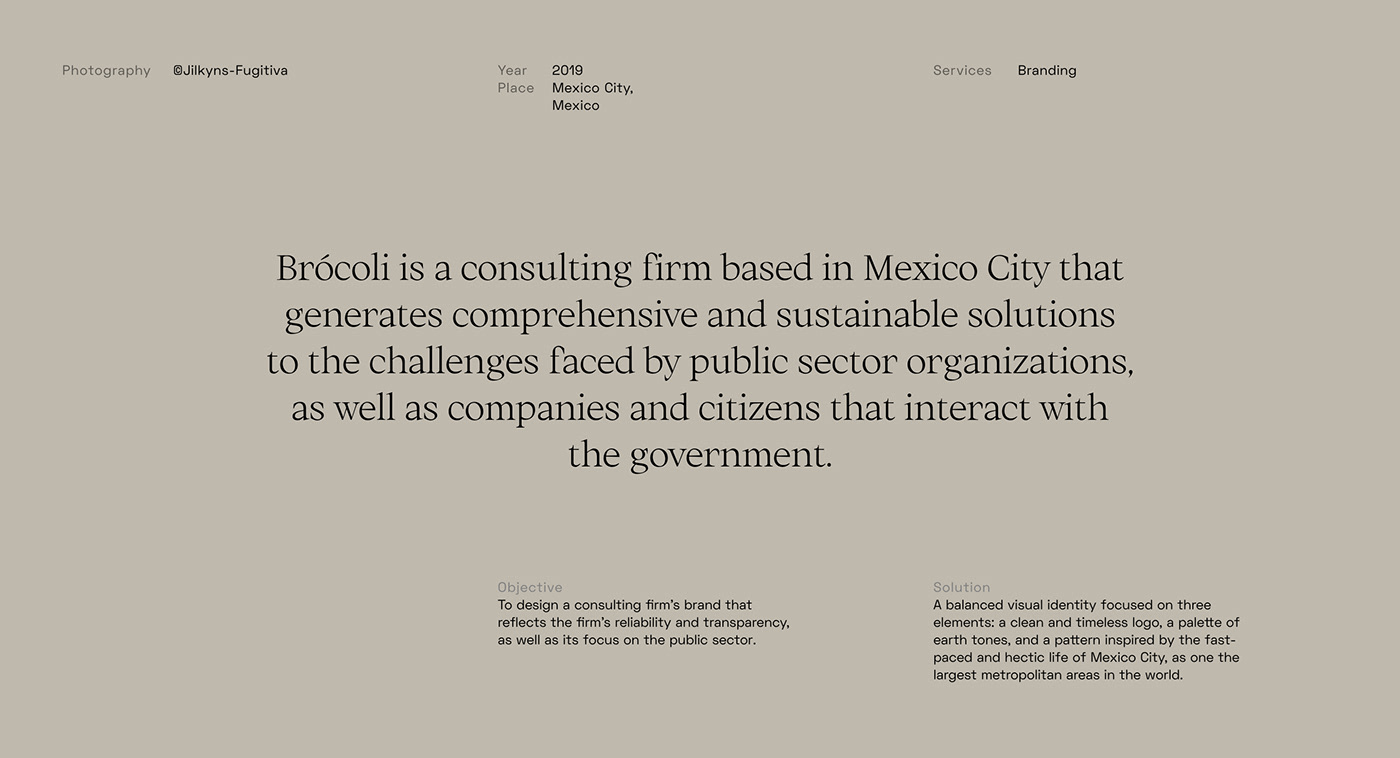 branding  brocoli earth envelope Government green mexico politics stationary stone